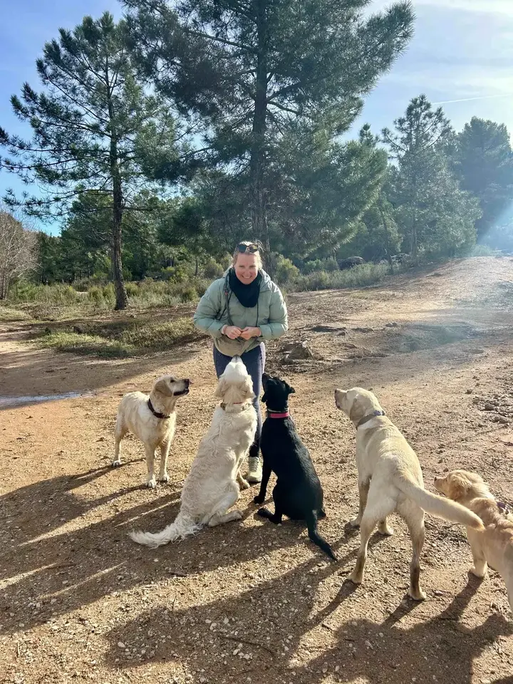 Pauline et une meute de chiens assis dans une pinède