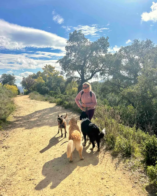 Pauline avec des chiens lors d'une balade Amala